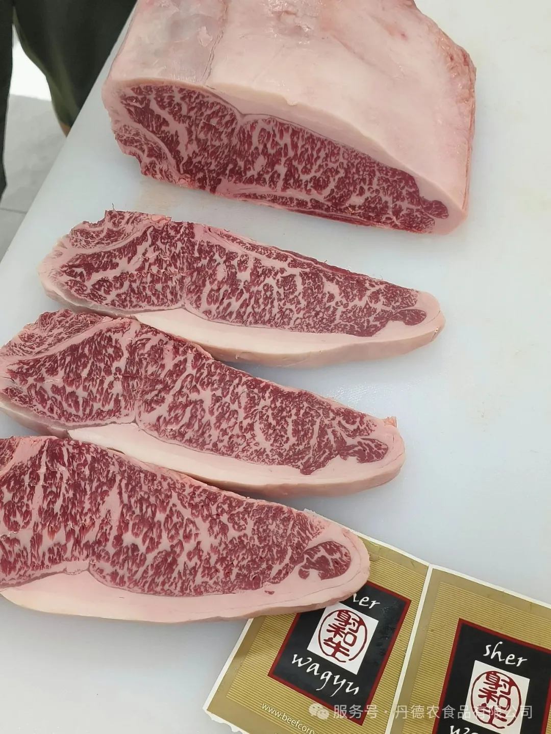 公司超热闹!澳大利亚肉类及畜牧业协会(MLA)大中华区总经理亲临丹德农参观指导交流 640 wx fmt=jpeg&from=appmsg&watermark=1&tp=webp&wxfrom=10005&wx lazy=1 (1)