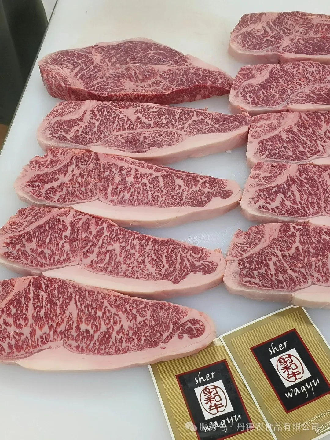公司超热闹!澳大利亚肉类及畜牧业协会(MLA)大中华区总经理亲临丹德农参观指导交流 640 wx fmt=jpeg&from=appmsg&watermark=1&tp=webp&wxfrom=10005&wx lazy=1 (4)